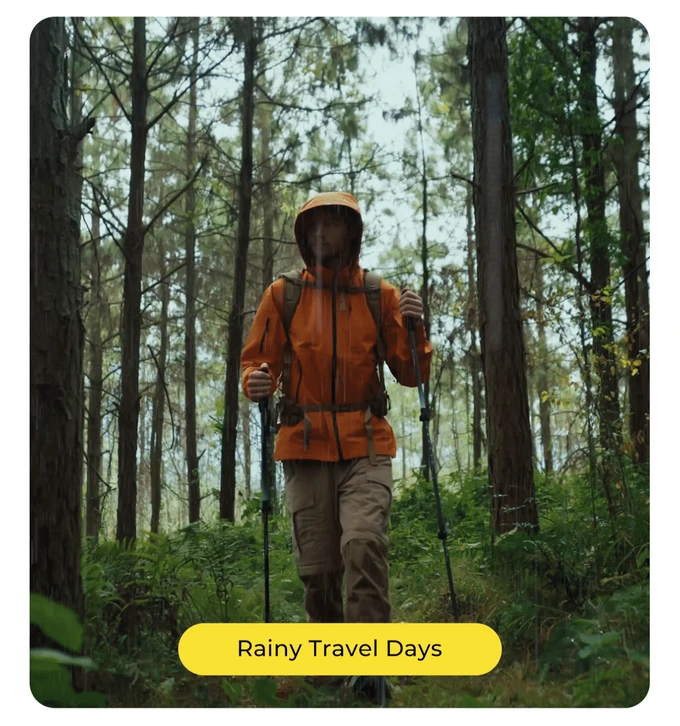 Hiker in heavy rain inside a wet temperate forest